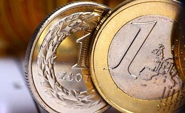 Płatność w PLN lub Euro